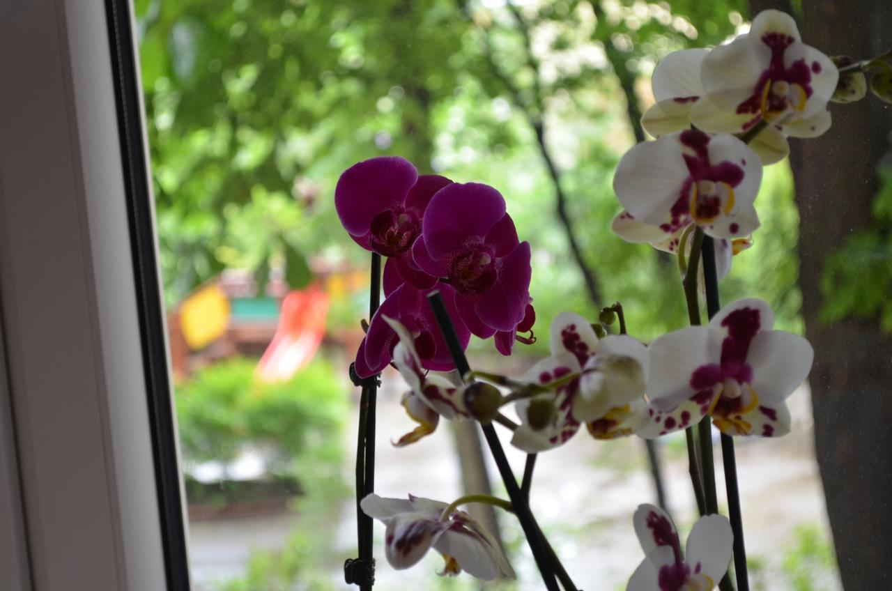 Apartament Orchidea Centrum Warsawa Bagian luar foto